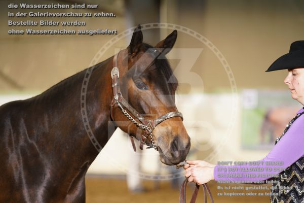 s_K3F01681.jpg